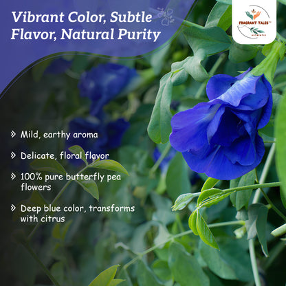 FRAGRANT TALES BLUE TEA - Butterfly Pea Tea, 50g, 25 Pyramid Bags, Natural Herbal Tea, Caffeine Free, Preservative Free